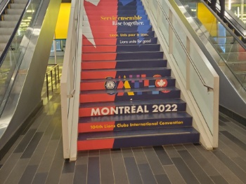 Picture of Stairway Surface Clings